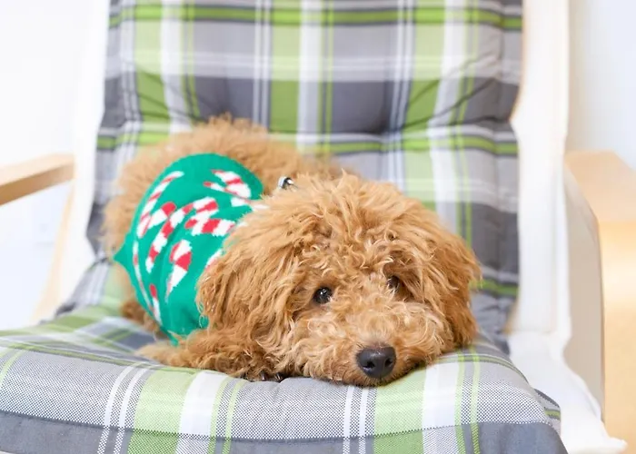 Nonna Bambina * Palena